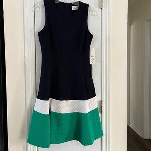Eliza J Colorblock Dress